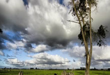 狗子28官方网站：[CBA]辽宁主场战胜山东 锁定常规赛第四.