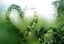 狗子28官方网站：足球——德甲：勒沃库森不敌云达不来梅.