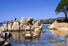 中国三人篮球男队摘银创历史 女队获铜牌3-31 07：49.